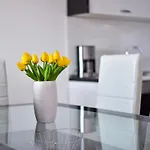 Visnjik Apartamento Zadar